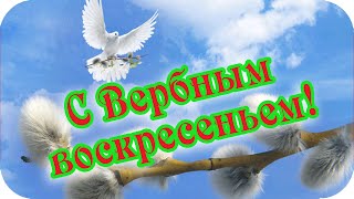 Доброе Утро! 🌸С Вербным Воскресеньем Я Вас Поздравляю!🌸 Мира В Сердце И Добра Желаю!🌸