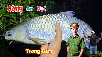Nhấc Cá Trong Đêm Bị Công An Giả Mạo Gọi Lên Tận Đồn / Quế Nghịch