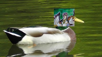 Dragunity Deck (September 2011 Format)-Yugioh