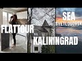 ПРОГУЛКА ПО КАЛИНИНГРАДУ и СВЕТЛОГОРСКУ  | FLAT TOUR Много еды, красоты, пленочных фотографий