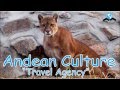 Andean Culture