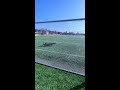 INSANE REACTION SAVES 🧤🔥 #shorts