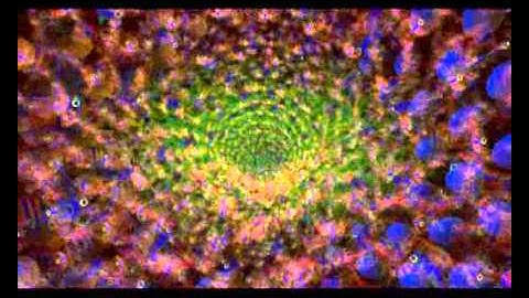 ITCH-E & SCRATCH-E - IMPERIAL ROCKETS (OFFICIAL VIDEO)