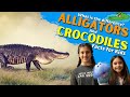 Alligators and Crocodiles Quiz