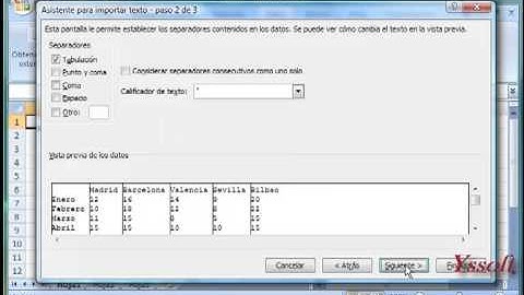 Excel 2007 - 35. Utilizar el asistente para importar texto