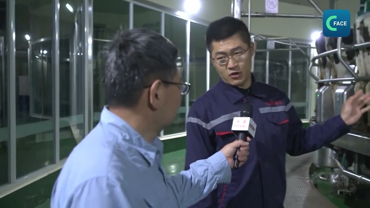 เครื่องรีดนมวัวอัจฉริยะจีน รีดนมวัวได้ 32 ตัว ใน 6 นาที - TOPNEWS