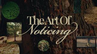 The Art of Noticing | Short Film | Sony A7Cii | Cineprint 16