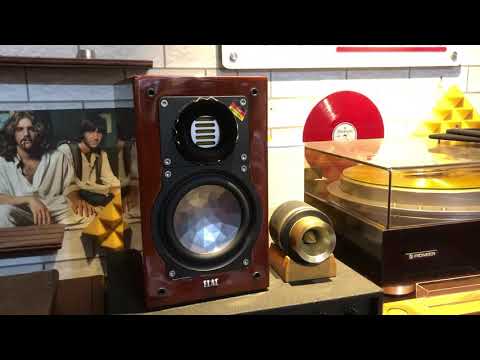 Testing Elac BS 243 Limited Edition + Accuphase C 200v P 300v