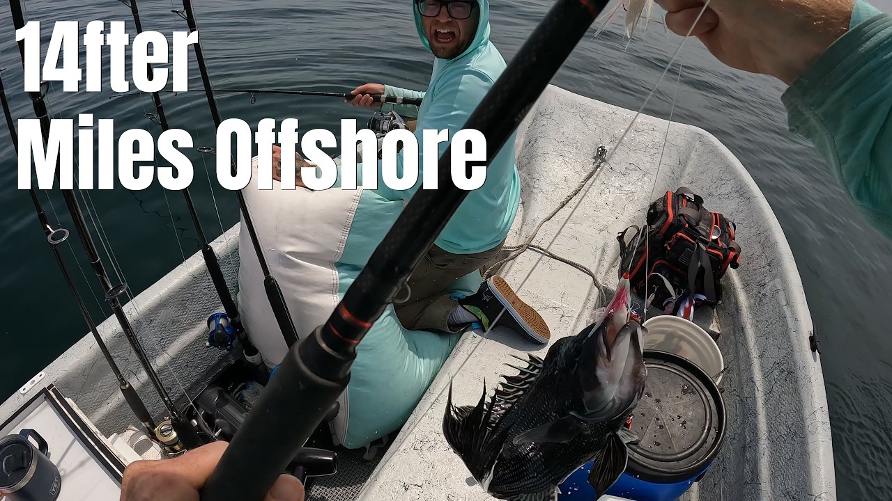 Black Sea Bass Far From Shore | Small Boat Offshore Fishing #seabass #offshorefishing