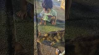 Hanifa Nungguin Kucing Makan Di Alun Alun Pasar Johar