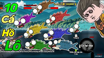 " Quá khó " bản thể cá Hồ Lô siêu mạnh / Câu cá vạn cân 