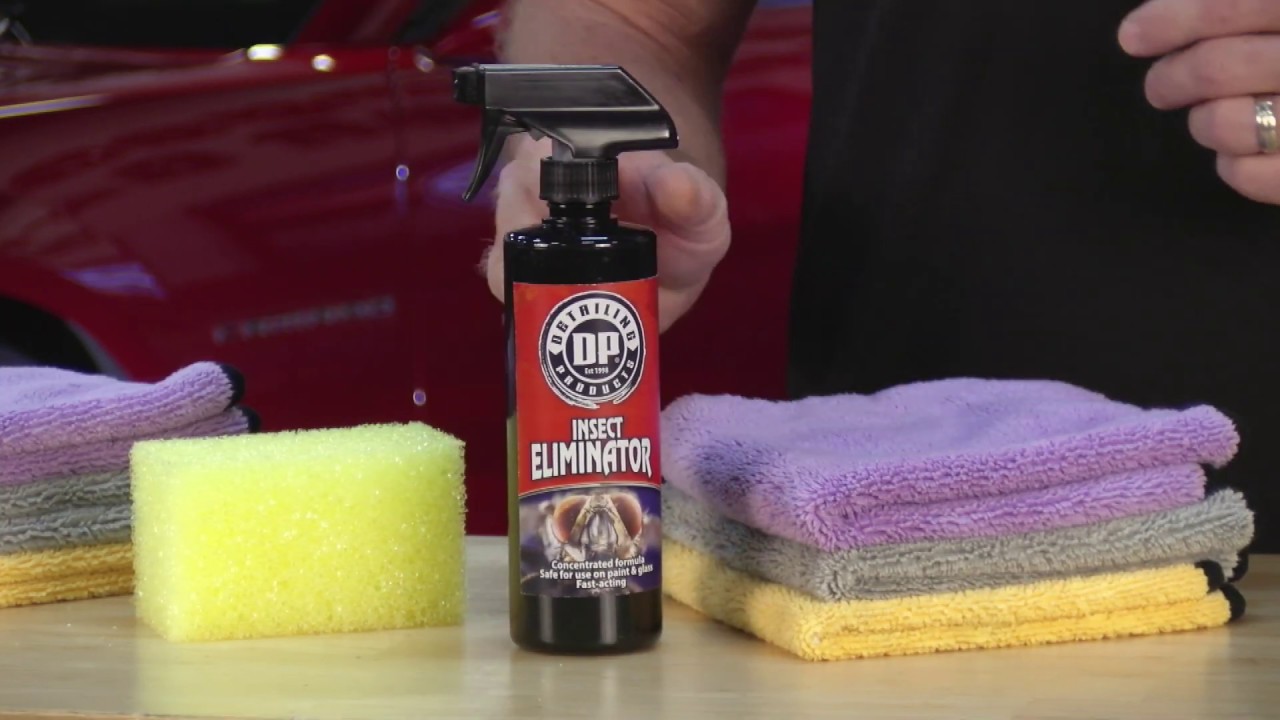 How to remove bugs from your cars paint DP Insect