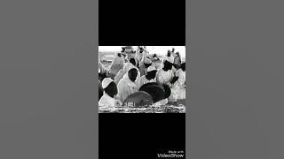 اولاد البرعي الاوائل طهر جنانك(الله الله الله)