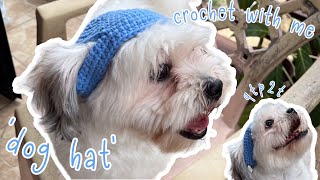 crocheting my dog a hat !! (NOT a tutorial hehez)