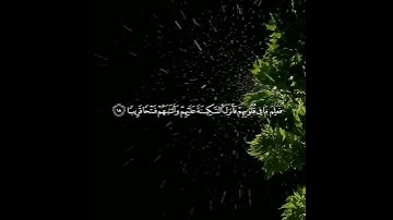 القارئ احمد النفيس