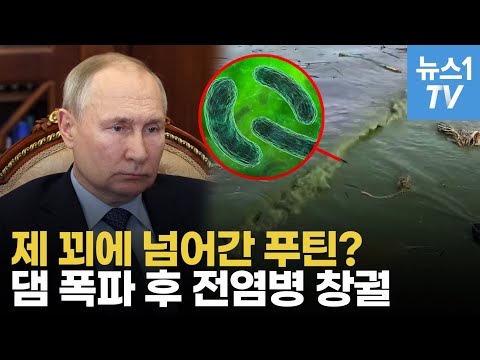 우크라 대반격 막으려다 전염병에 쓰러지는 러시아…댐 붕괴 여파