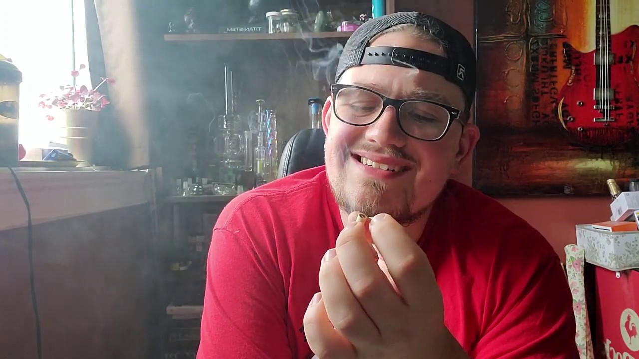 Two Birds By Trailer Park Buds One Hitter Weed Review