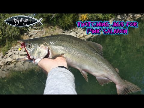 How to  Twitching jigs for Pink Salmon 