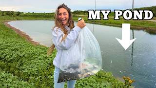 Stocking My Pond With Fish