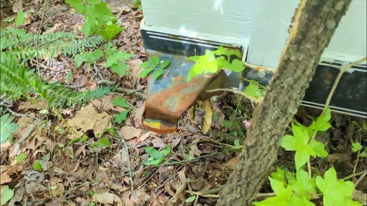 Trailer Parked With Minimal Damage YouTube trailer-parked-with-minimal-damage-youtube