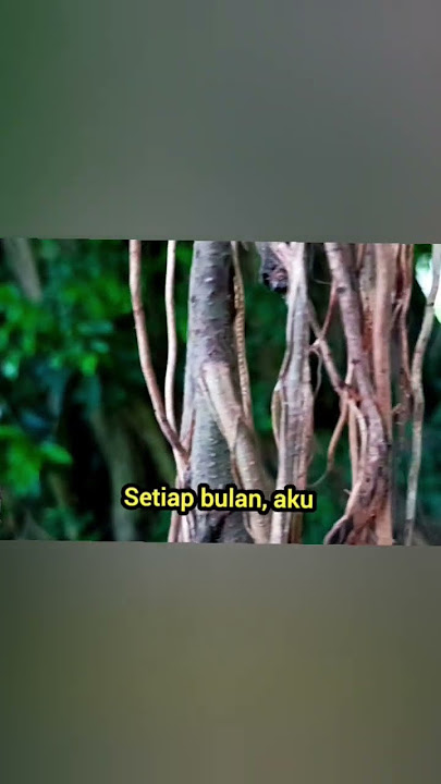 Transfer #afirmasi #katamutiara #quotes  #renungan #motivasi #petuah #nasehat #katabijak