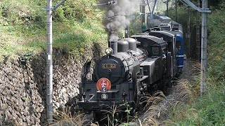 特価機関車 関水本線 | KATO-SmallEngland