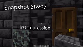 Minecraft snapshot 21w07, first impression