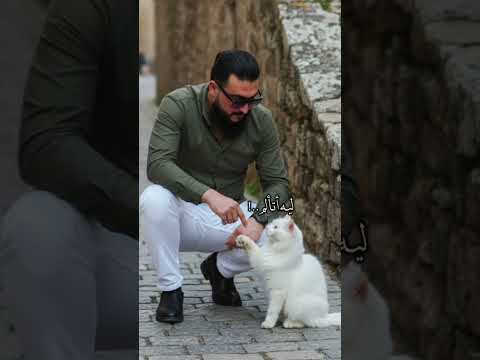 سلطان الجمل جديد وينط بس وين ايامك وين القاك عراقي