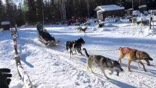 Dog Sledding in Alaska, March 2015, Cheno Hot Springs resort