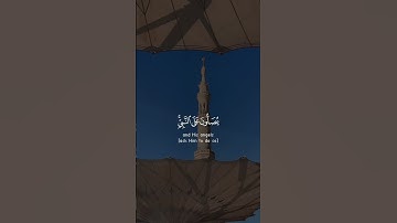 إن الله وملائكته يصلون على النبي - #صـلاح_بو_خاطر - #سورة_الأحزاب #حالة_واتس