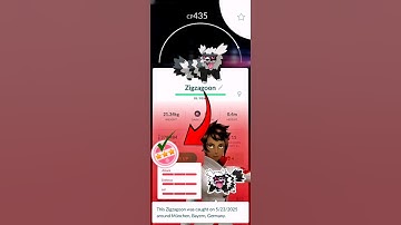 💯 "Hundo" Zigzagoon Catch in Wild #pokemongo #shorts #zigzagoon