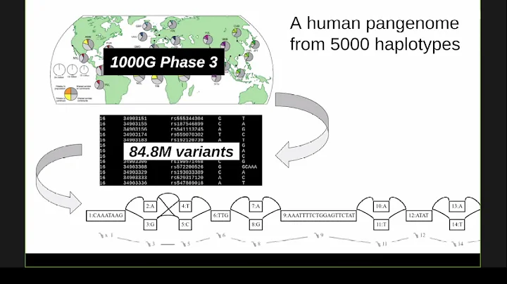 "Building and understanding pangenome variation gr...