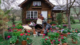 Village Life: Baking Thin Pita Bread on a Barrel-Oven