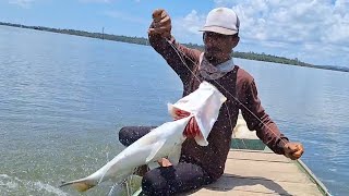 SAMBARAN BARRAMUNDI DAN KERAPU BABON, MANCING DI MUARA UMPAN UDANG HIDUP