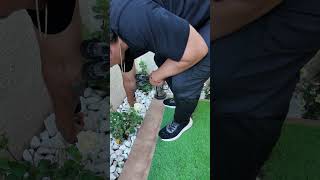 Decorando mi terraza con Temu