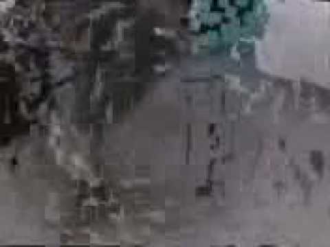 como bailar electro flogger dance vol.1