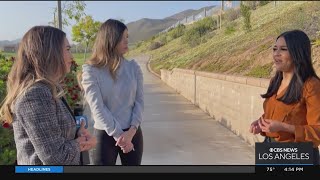 Woman in need of kidney finds donor through TIktok