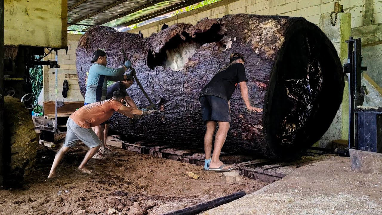 Black Trembesi Wood Split Open at Major Sawmill – Workers Risk Their ...