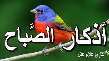 أذكار الصباح - راحة نفسية لا توصف بصوت القارئ علاء عقل | Morning Athkar - Dzkir Pagi