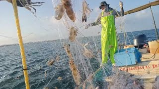 pesca ribereña temporada 2023 2024 buenísima captura de camarón 🦐🦐 asul tripulación la tostacha 💯🇲🇽