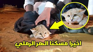 اخيرا مسكنا الهر الرملي الحمدلله