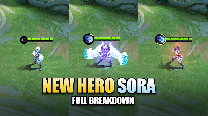 Full Sora Hero Breakdown: Thunder & Torrent Form Explained