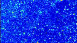 Echo Speckle Imaging of the paint drying