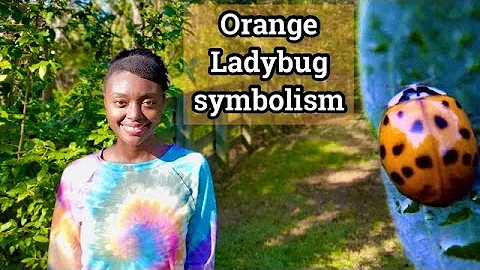 Are Orange ladybugs good? (2023)