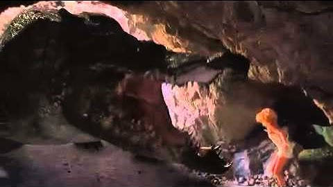 Mega Python VS Gatoroid - OFFICIAL TRAILER