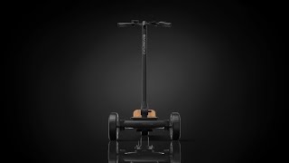 CycleBoard- Rover Black Woody