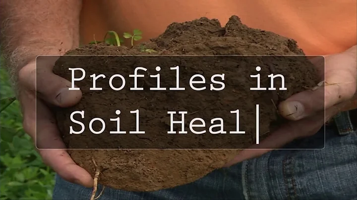 Farmer Panel on Experiences with Cover Crops and S...