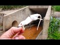 Fishing The MOUSE LURE In Front Of A TUNNEL!!! (It Got DESTROYED)