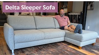 Delta Sleeper Sofa by Luonto