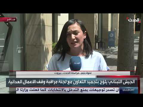 غارات إسرائيلية وتوتر لبناني: ردود فعل رسمية وتصعيد محتمل